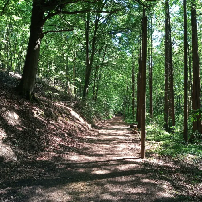 Entdecken Sie die Walk and Talk-Therapie 2 Ein Symbolbild für die Walk and Talk Therapie, die Gesprächstherapie und Bewegung verbindet